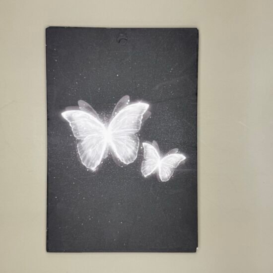 Butterfly Cardstock 10Pcs