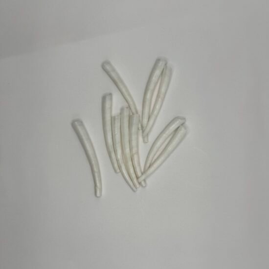 Dentalium Shells 20CT